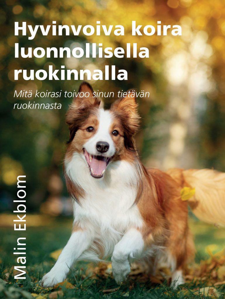 ruokintakirja koira